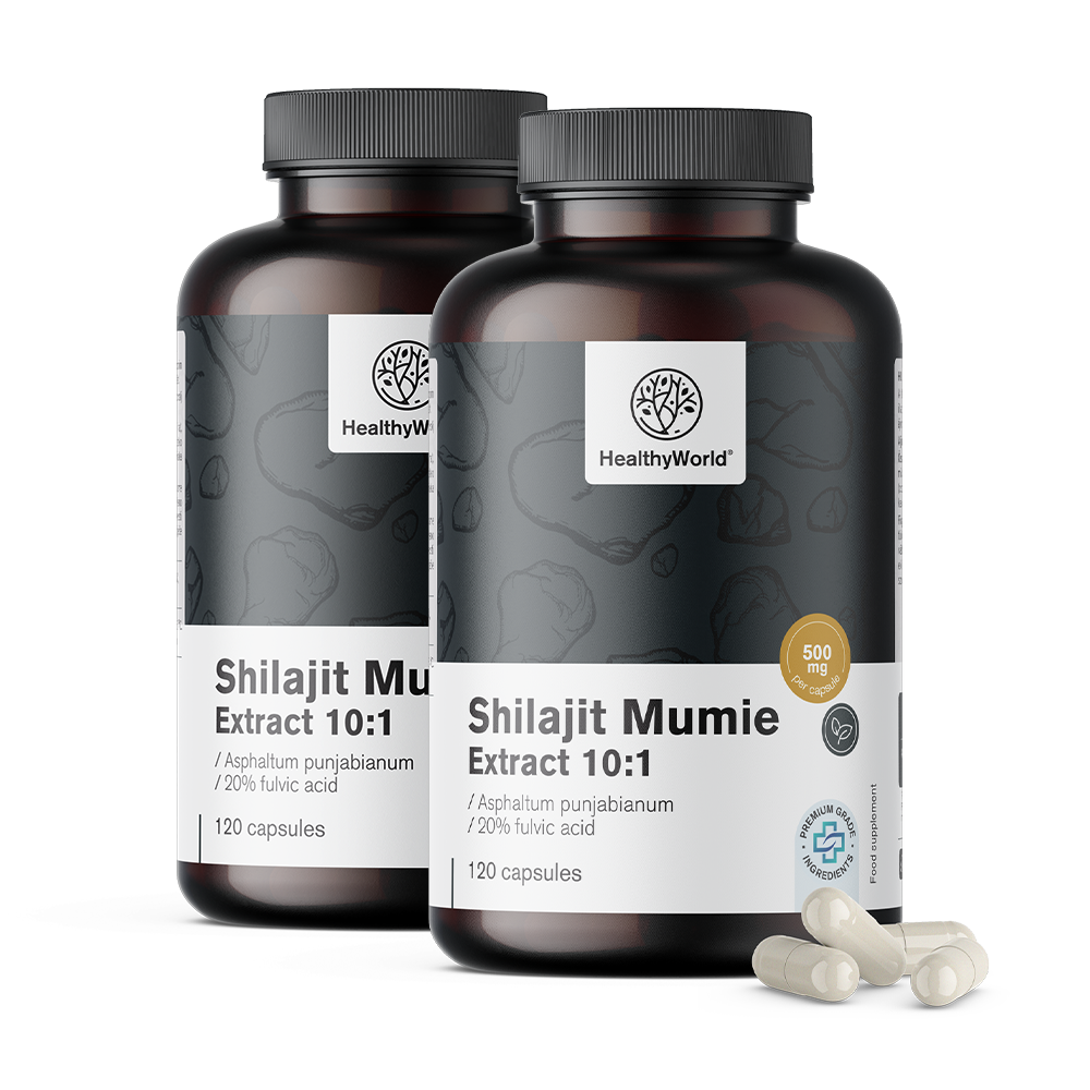 Shilajit Mumie 10:1 w kapsułkach