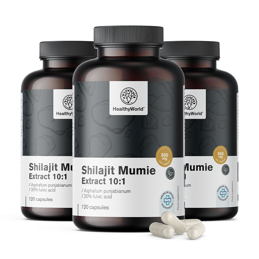 Shilajit Mumie 10:1 w kapsułkach