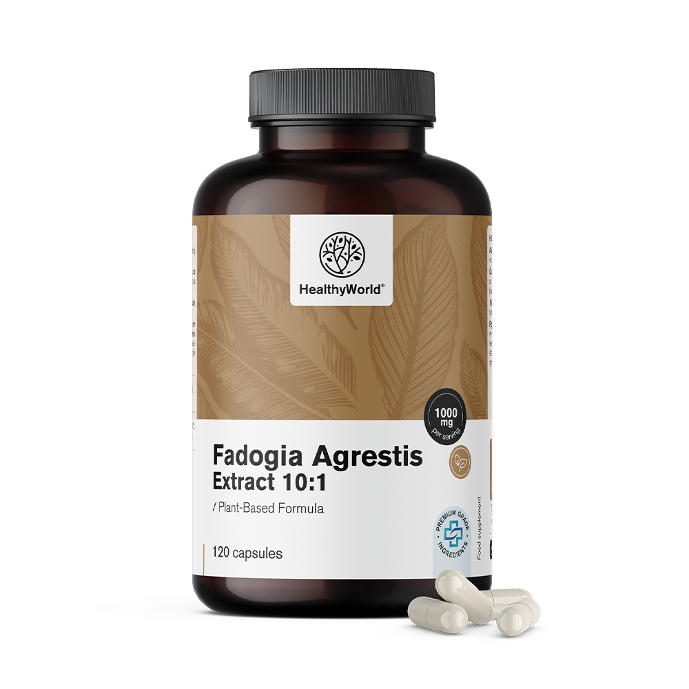 Fadogia Agrestis 1000 mg w kapsułkach.