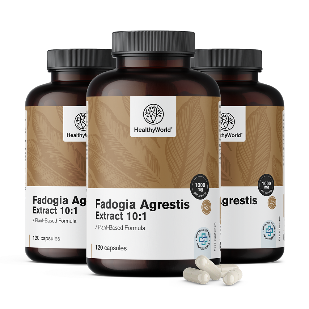 Fadogia Agrestis 1000 mg w kapsułkach.